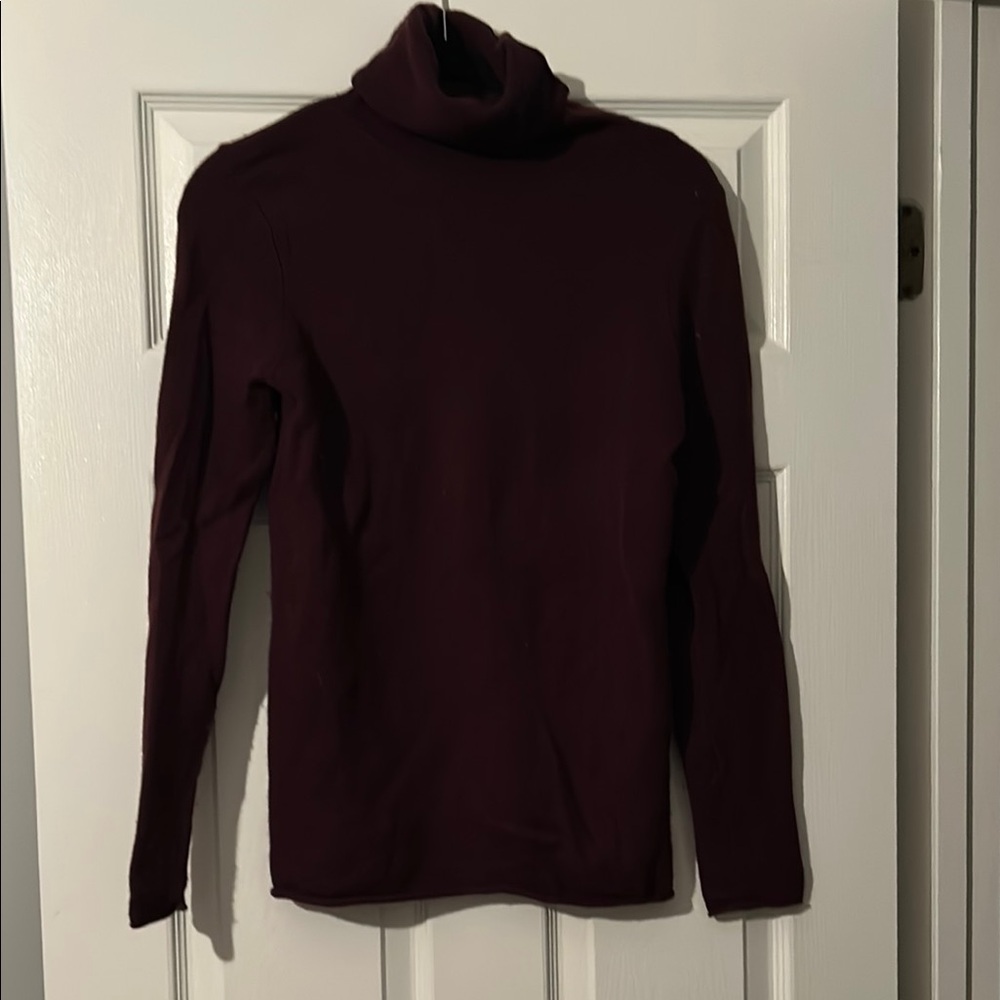 Ann Taylor Burgundy Cashmere Sweater with Sleek Fit